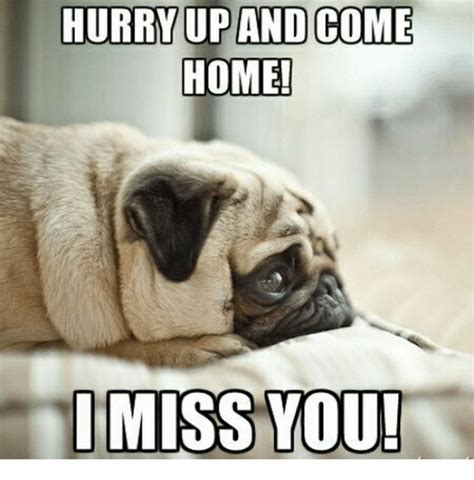 I miss you meme for him - It's a free online image maker that lets you add custom resizable text, images, and much more to templates. People often use the generator to customize established memes , such as those found in Imgflip's collection of Meme Templates . However, you can also upload your own templates or start from scratch with empty templates.